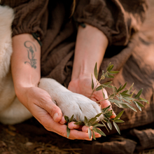 Cargar imagen en el visor de la galería, Taller Repelentes naturales para animales 🐾