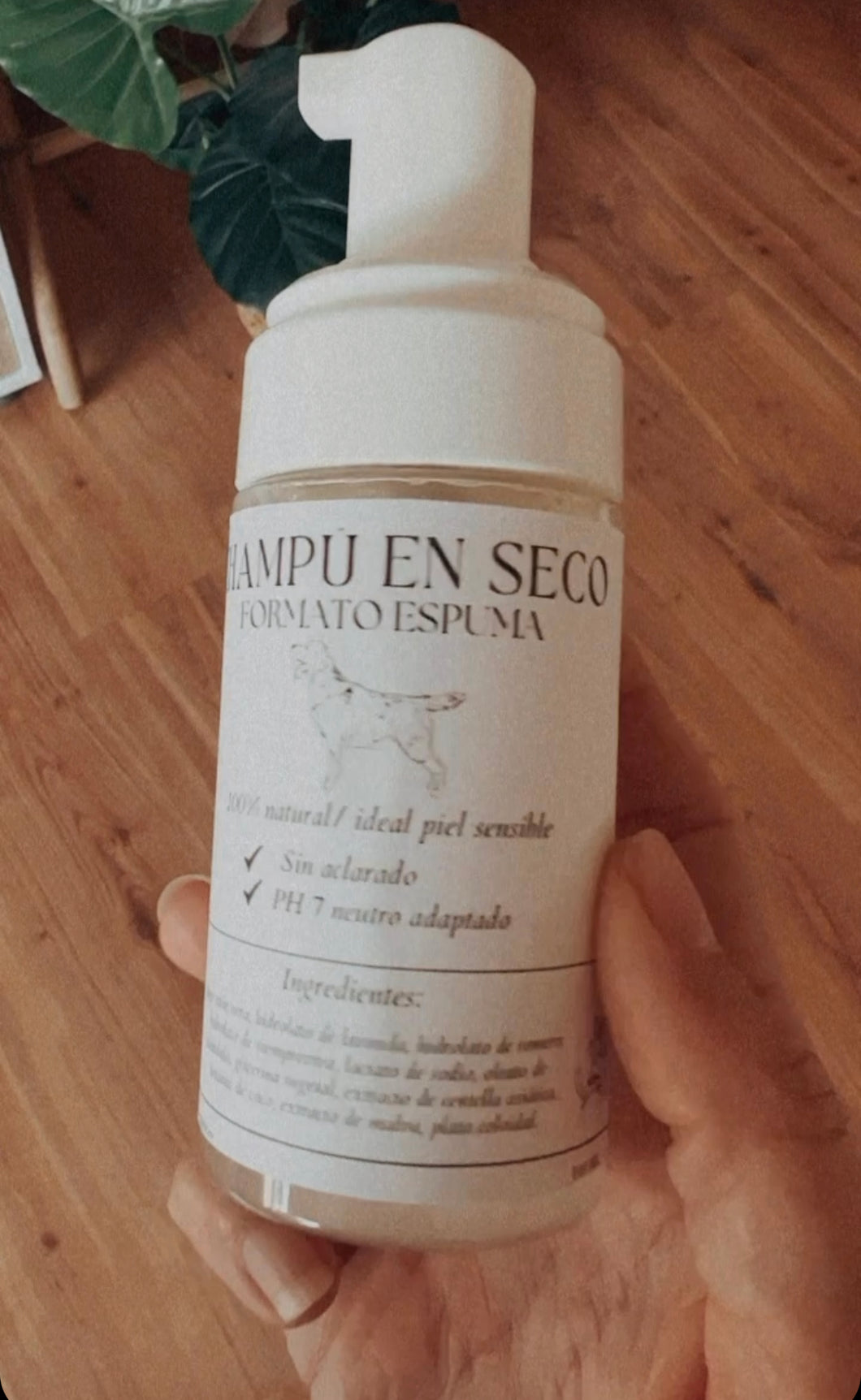Champú en seco espuma natural